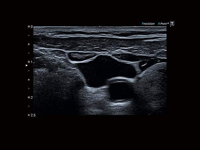 Canon Toshiba Xario 200G